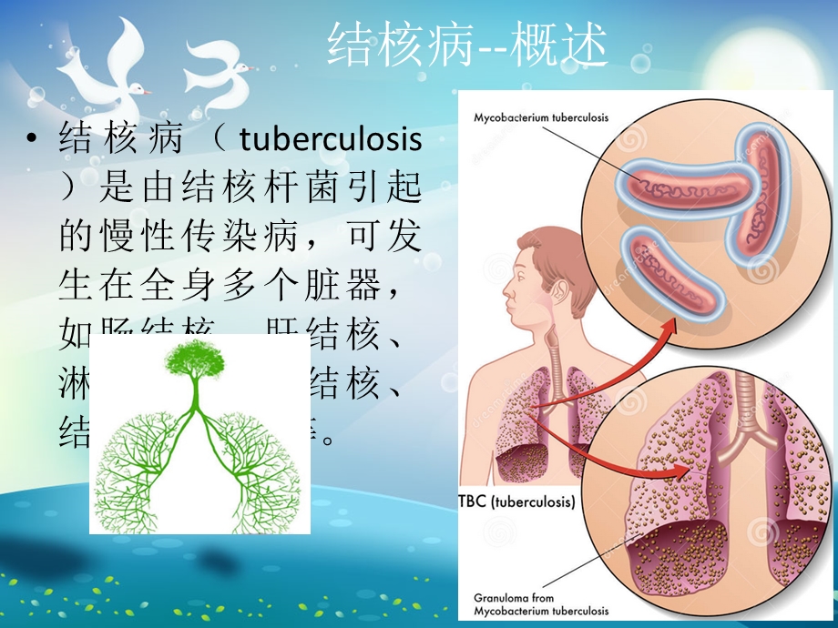 结核病营养治疗ppt课件.ppt_第1页