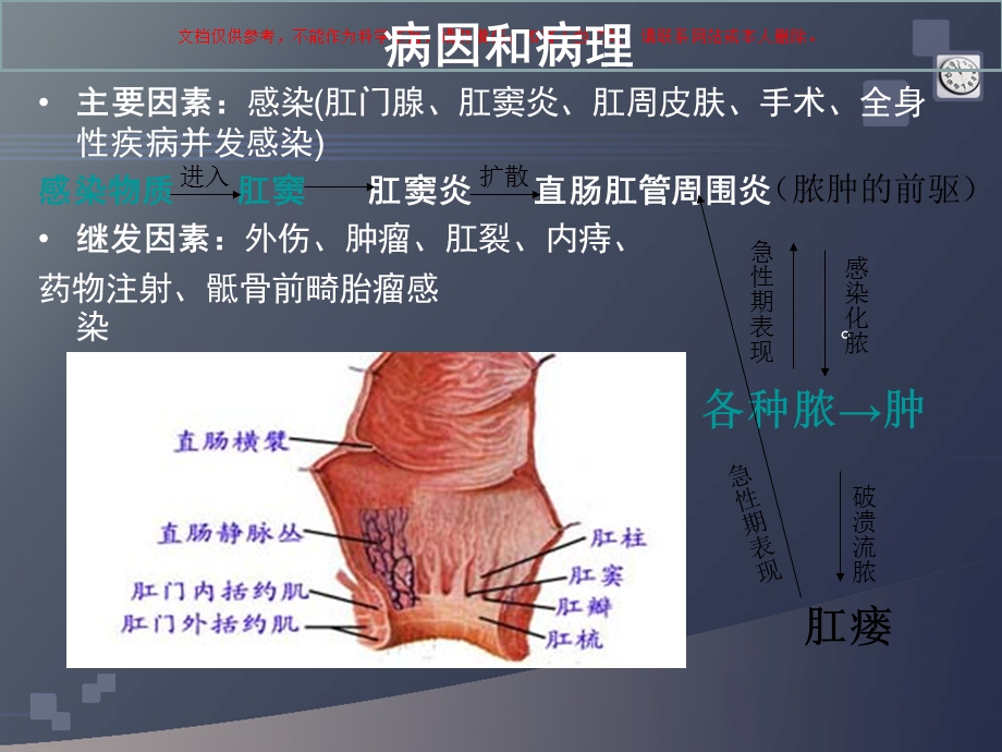 肛周脓肿CTppt课件.ppt_第3页