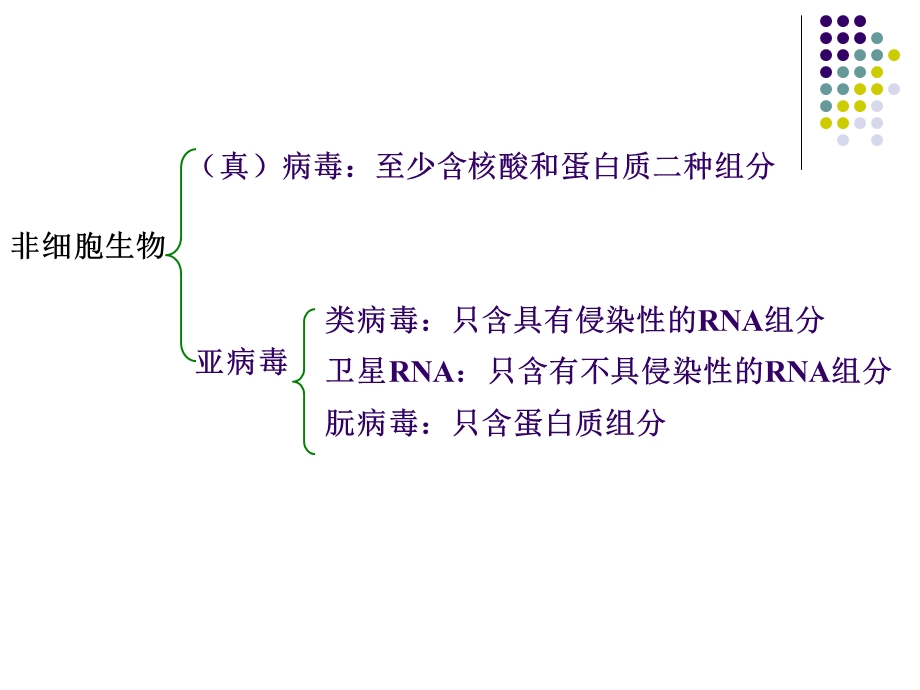 病毒和亚病毒课件.ppt_第2页