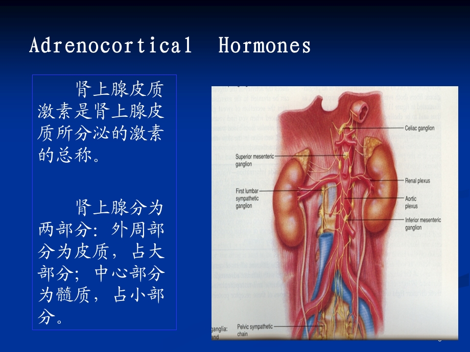 肾上腺皮质激素类药物课件.ppt_第3页