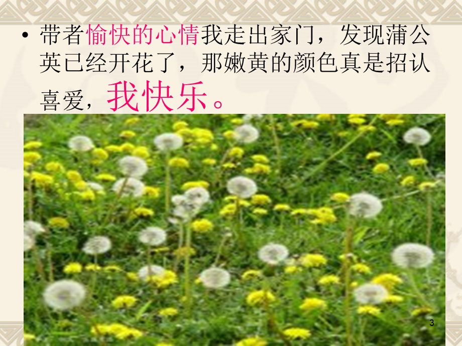 生活中的快乐优秀课件.ppt_第3页