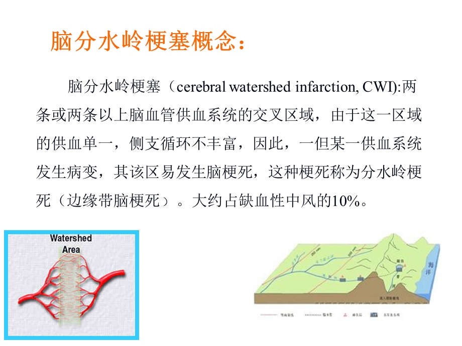 脑分水岭梗死课件.ppt_第2页