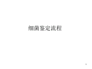 细菌鉴定流程课件.ppt