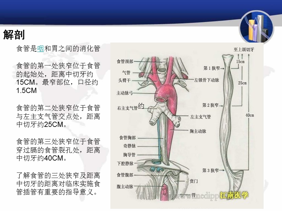 胃肠减压术操作并发症课件.ppt_第2页