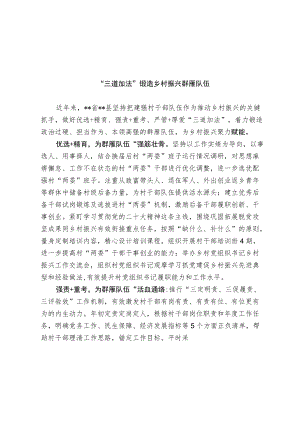 乡村振兴群雁队伍建设经验交流材料.docx