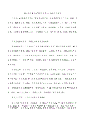 供电公司深化典型建设塑造企业品牌经验做法.docx