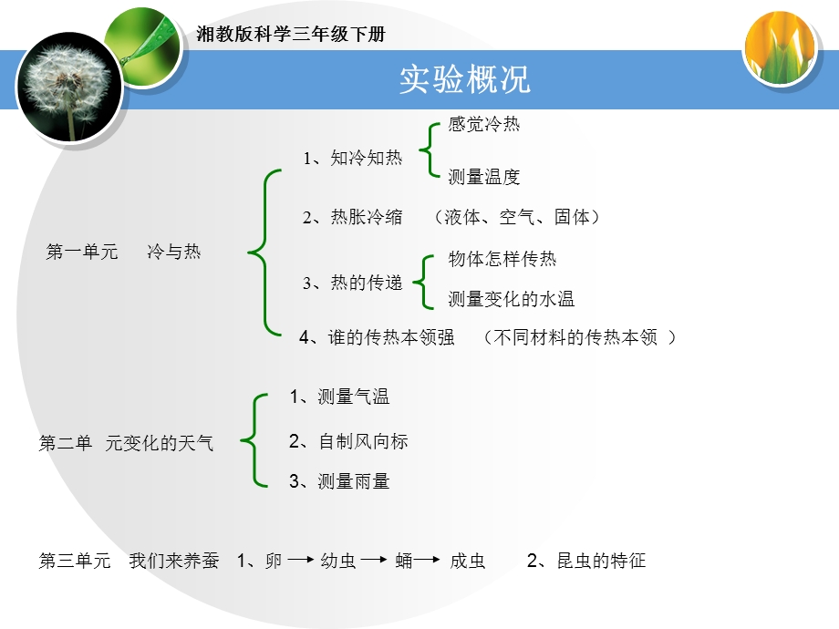 湘教版科学三年级下课件.ppt_第2页