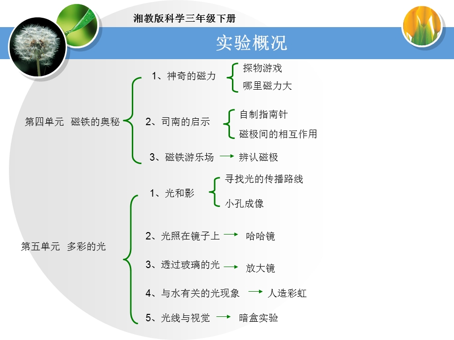 湘教版科学三年级下课件.ppt_第3页