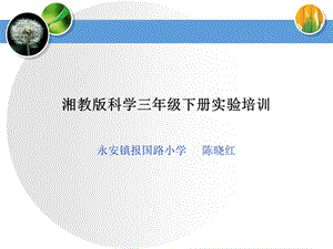 湘教版科学三年级下课件.ppt