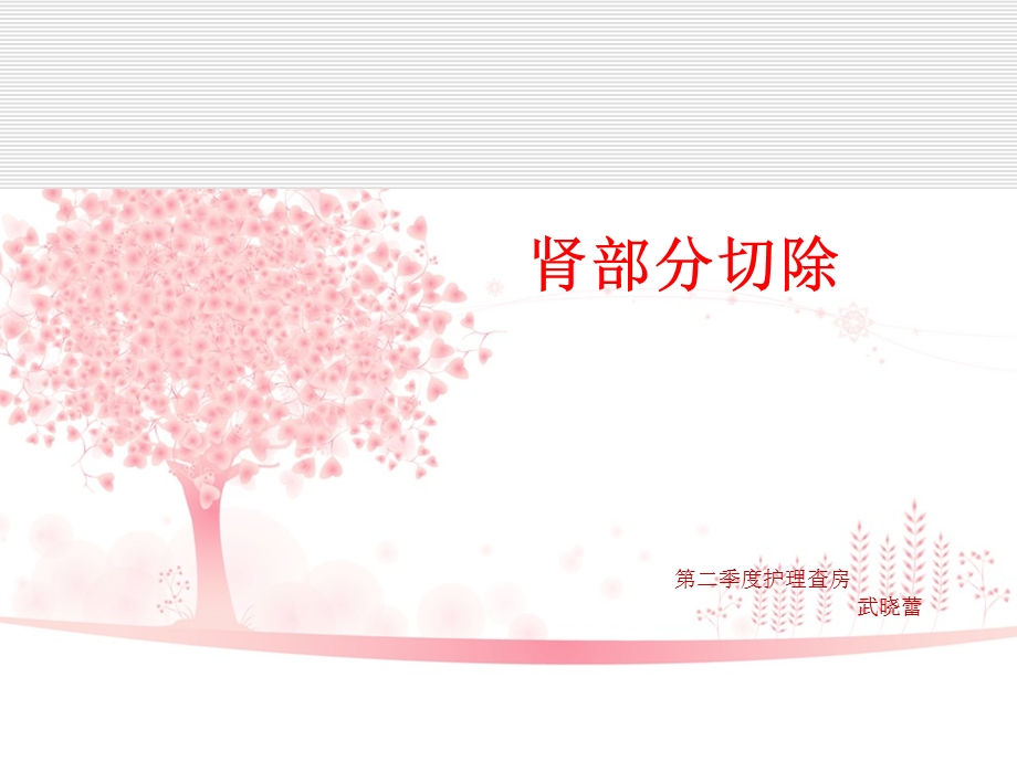 肾部分切除护理查房课件.ppt_第1页