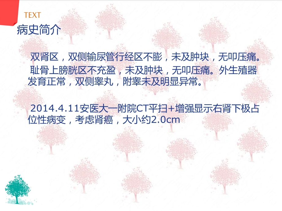 肾部分切除护理查房课件.ppt_第3页