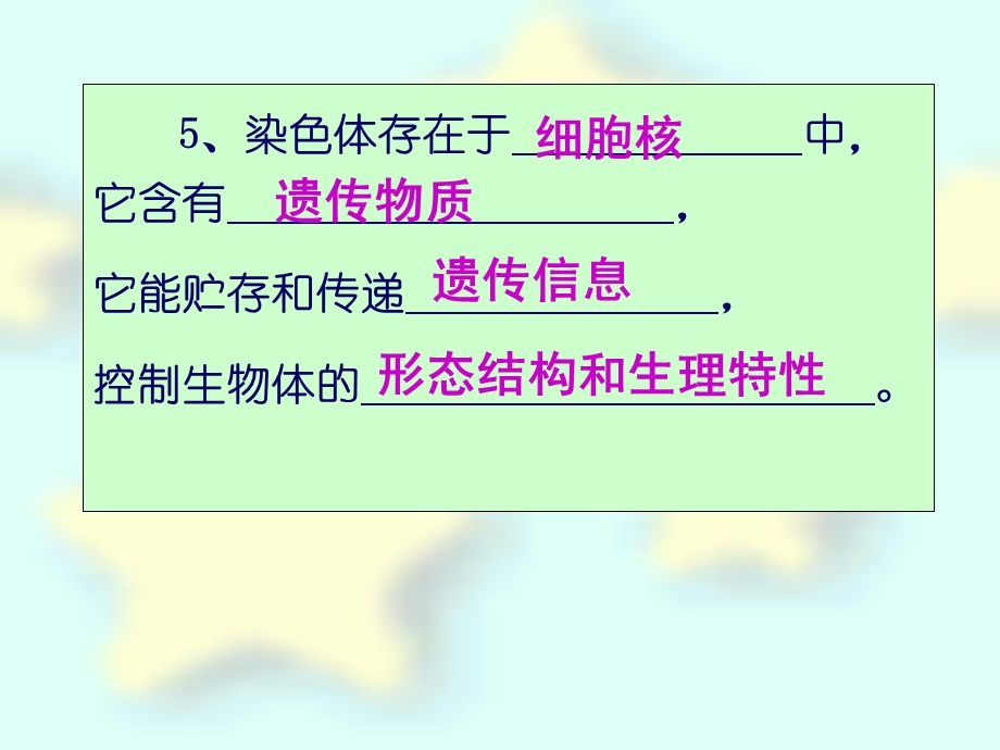 第三节细胞分裂与分化课件.ppt_第3页