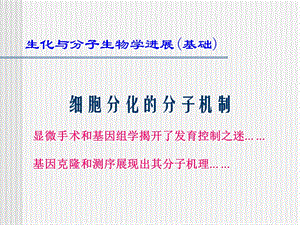 生物化学与分子生物学进展：细胞分化的分子机制课件.ppt