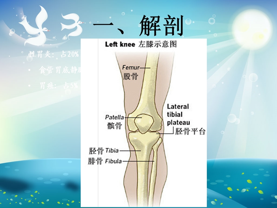 胫腓骨骨折内固定术手术配合ppt课件.ppt_第2页