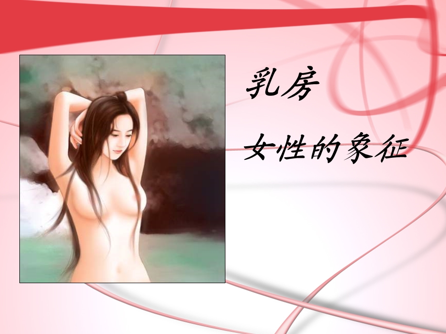 胸部专业知识 课件.ppt_第3页