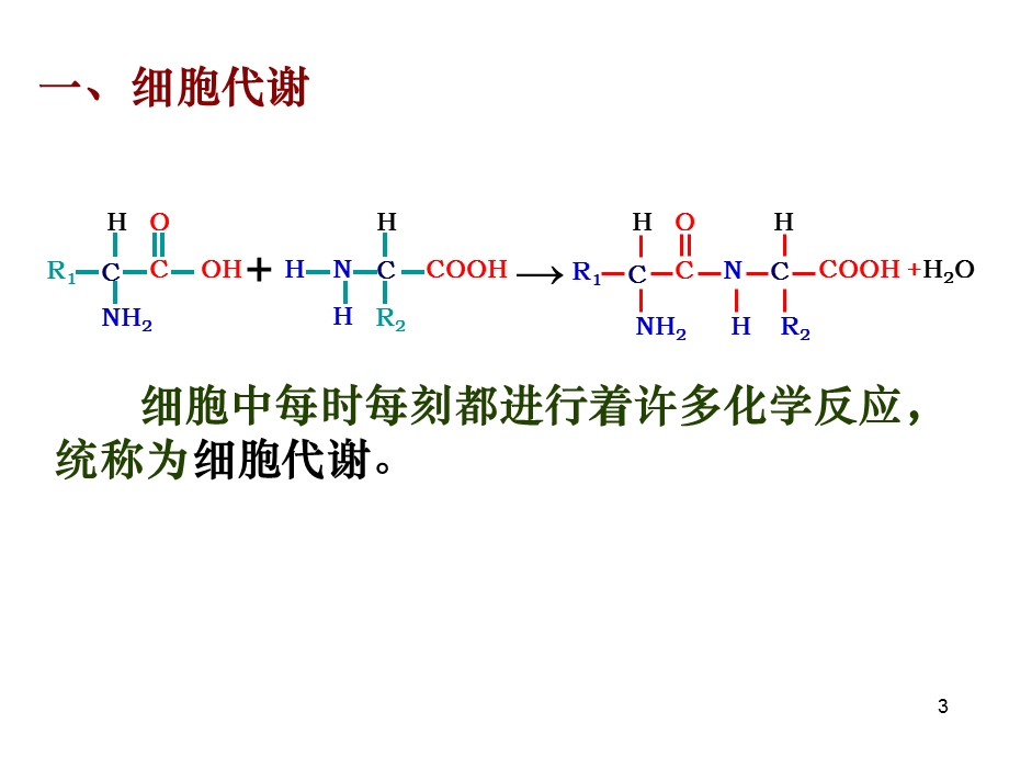 生物必修一51降低化学反应活化能的酶课件.ppt_第3页