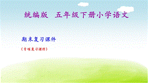 统编版小学语文五年级下册专项复习ppt课件.ppt