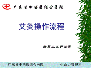 生命力针刺ppt课件.ppt