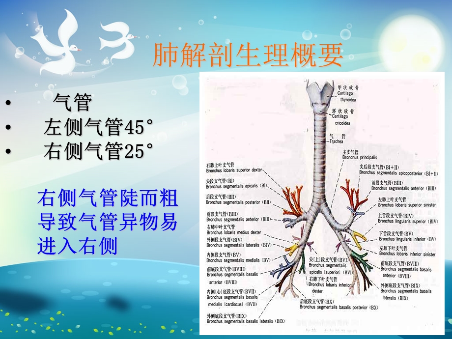 肺癌的疾病常规及护理要点ppt课件.ppt_第2页