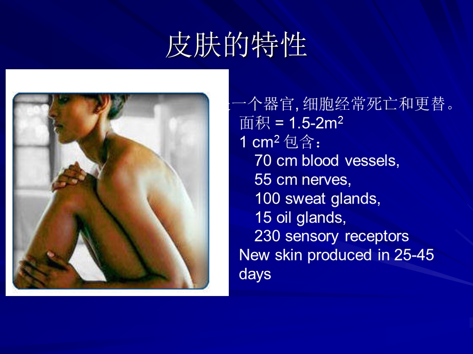 皮肤及其衍生物课件.ppt_第2页