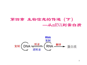 第四章 生物信息的传递(下)翻译课件.ppt