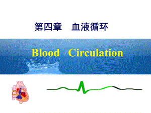 生理学：第四章 血液循环课件.ppt