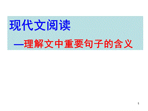 理解文中重要句子含义课件.ppt