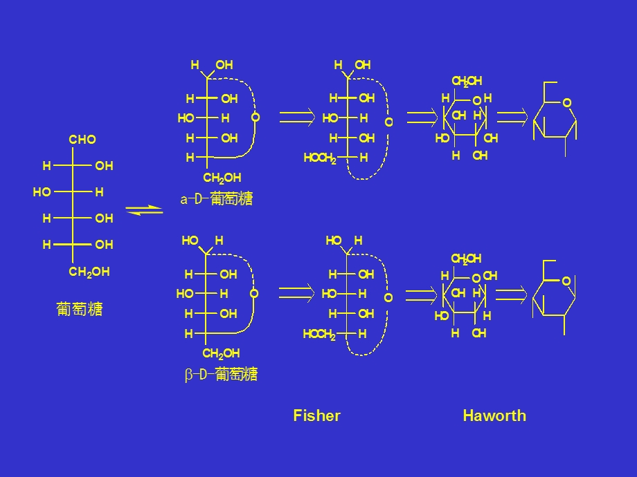 第二章糖和苷课件.ppt_第3页