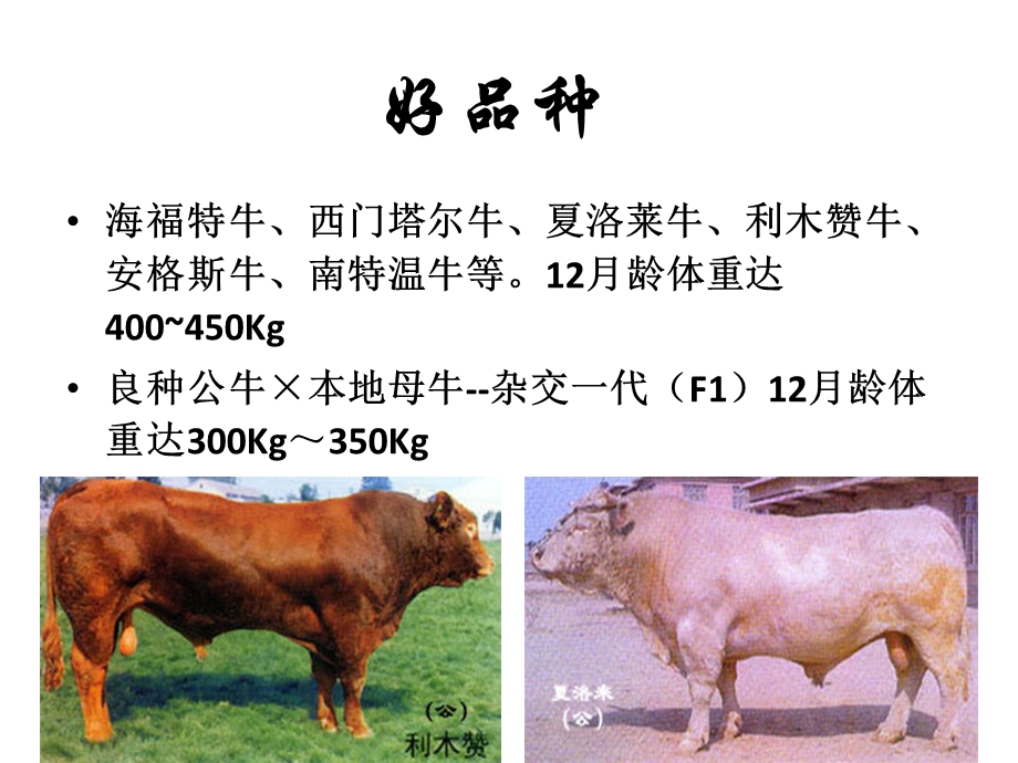 肉牛的饲养管理课件.ppt_第2页