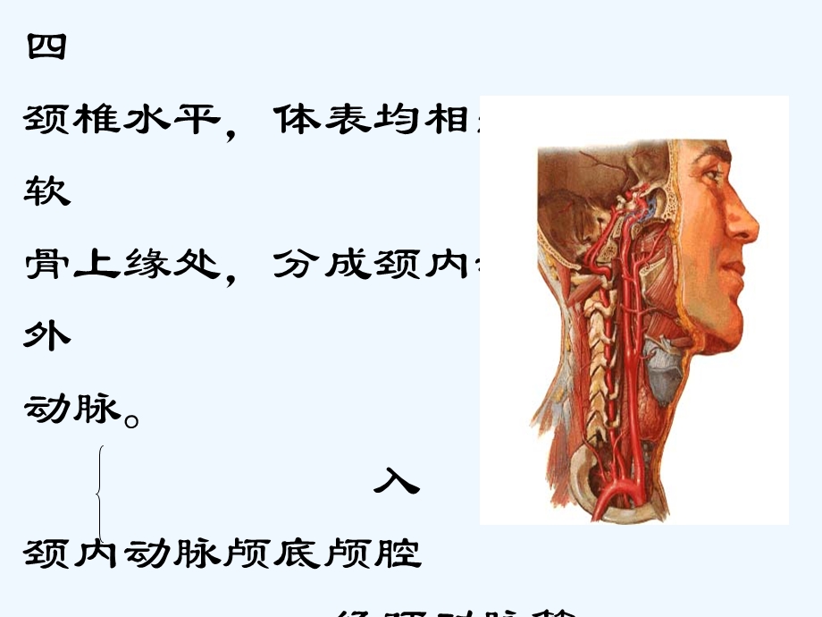 脑血管病变定位诊断课件.ppt_第3页