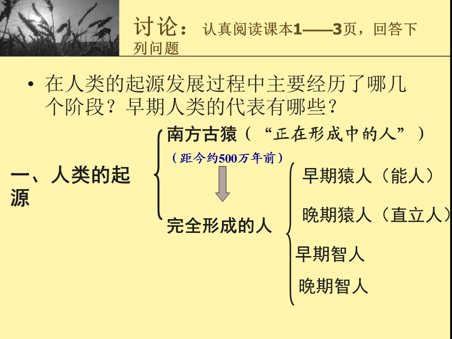 第一课 原始社会 ppt课件.pptx_第3页