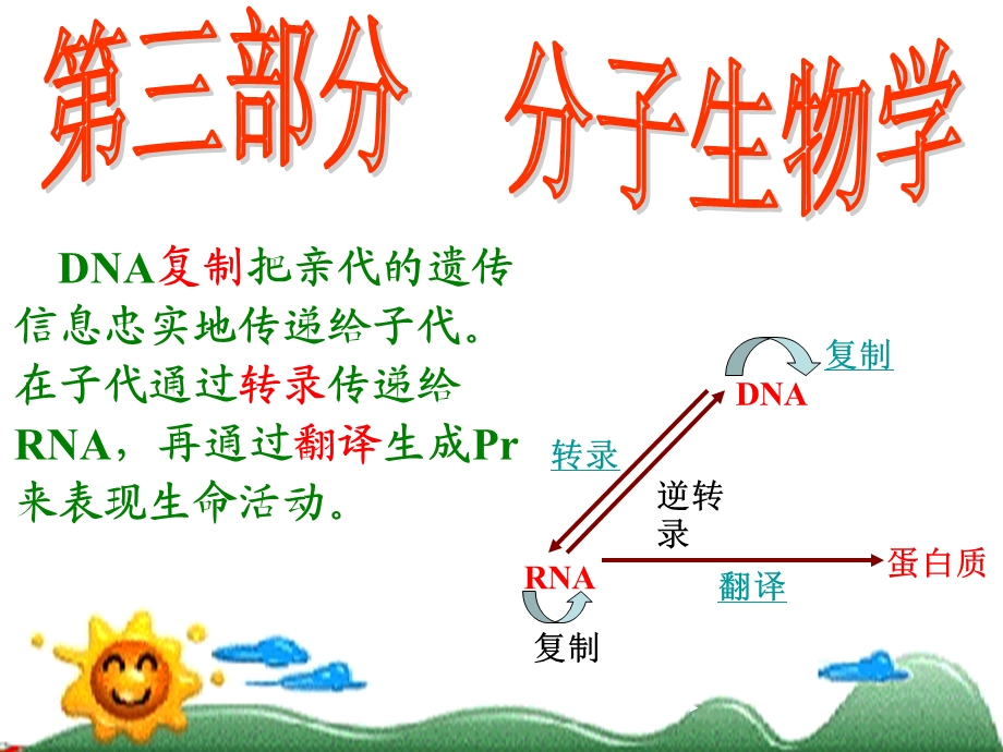 第三部分 复制转录和翻译剖析课件.ppt_第1页