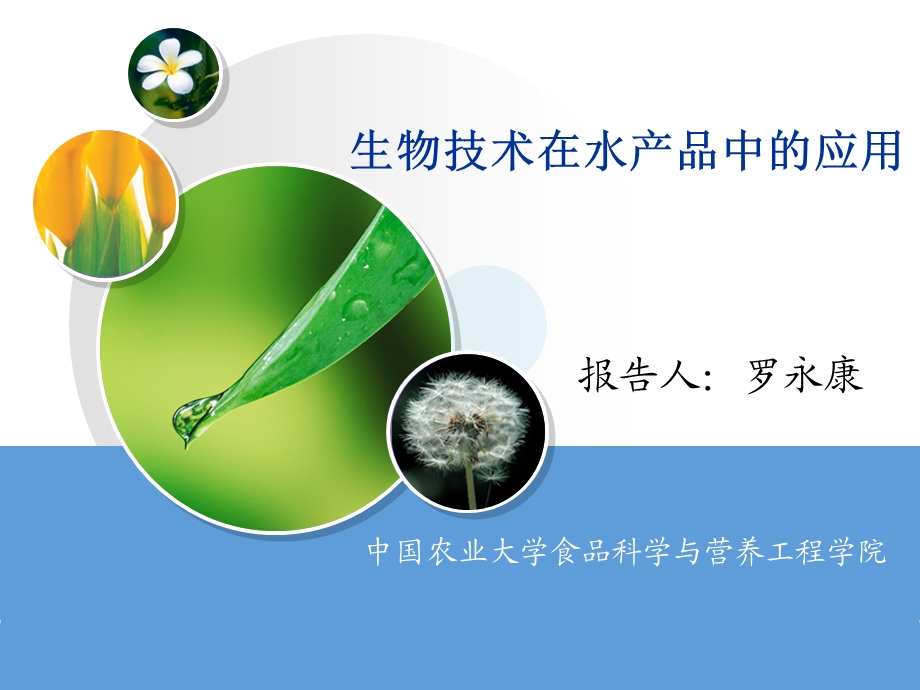 生物技术在水产品中的应用 课件.ppt_第1页