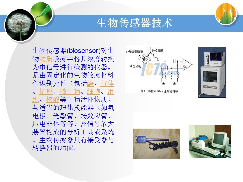 生物技术在水产品中的应用 课件.ppt_第3页