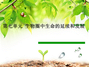 八年级生物下册植物的生殖课件.ppt