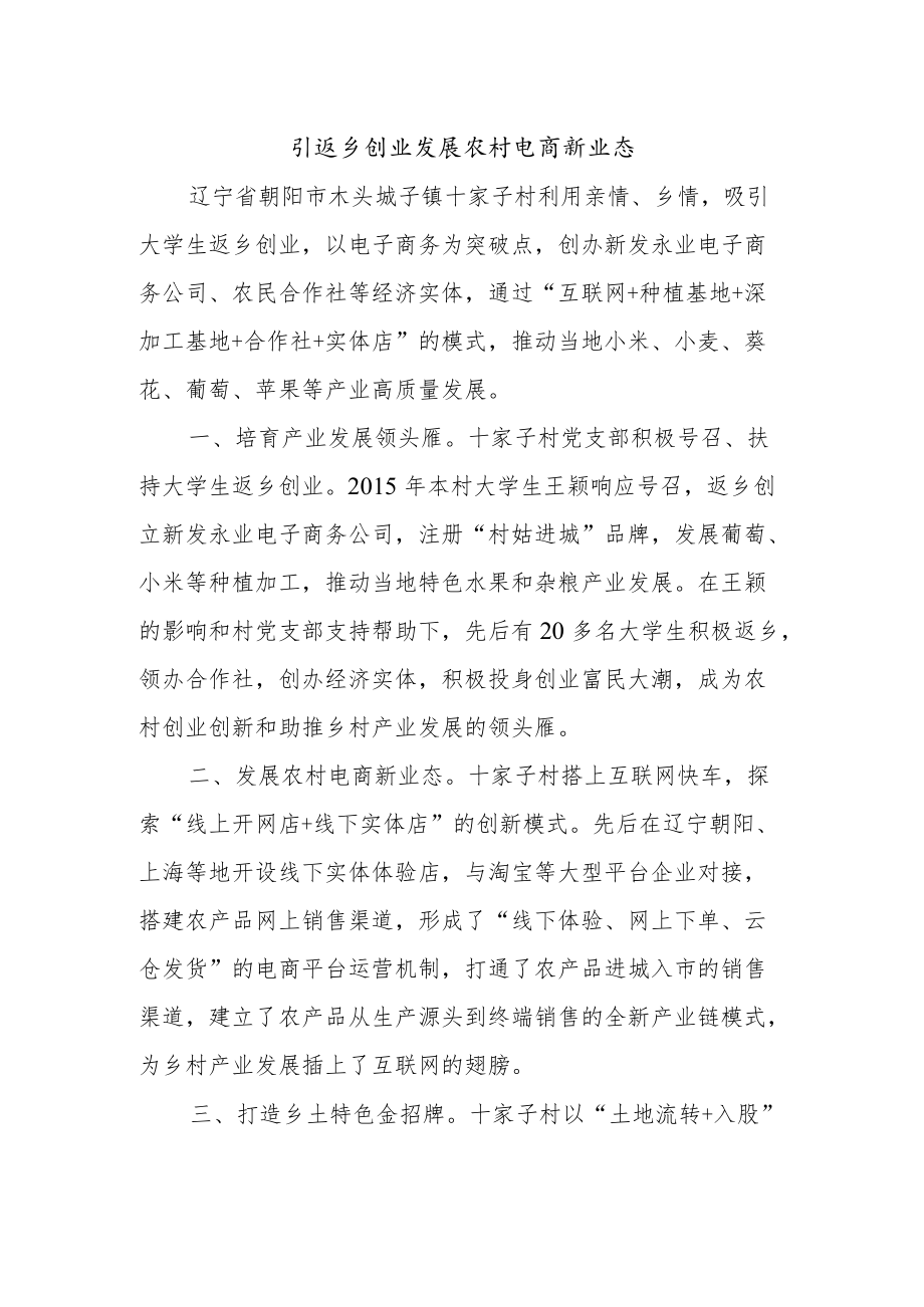 乡村振兴经验材料：引返乡创业发展农村电商新业态.docx_第1页