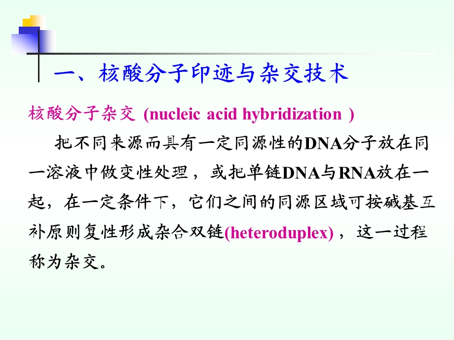 生化21常用分子生物学技术原理与应用课件.ppt_第3页