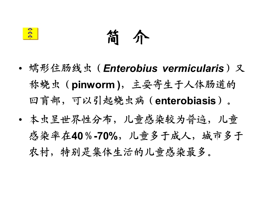 线虫、昆虫 课件.ppt_第3页