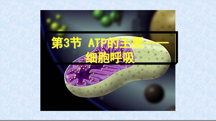 第三节ATP的主要来源——细胞呼吸（上课用) 公开课课件.ppt_第2页