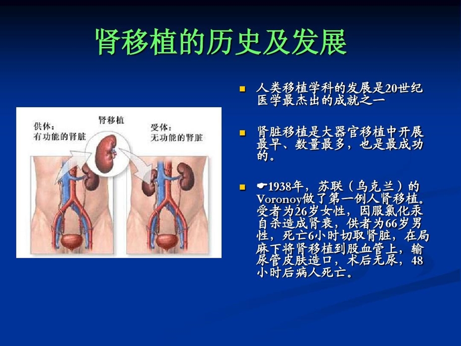 肾移植手术及术中课件.ppt_第3页