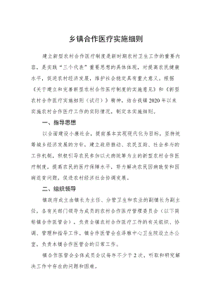 乡镇合作医疗实施细则.docx