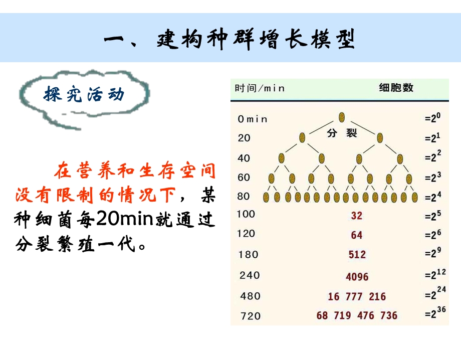 生物ppt课件5.2 种群的数量变动.ppt_第2页