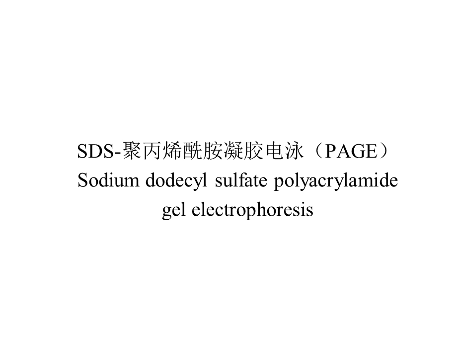 生物化学实验：SDS 聚丙烯酰胺凝胶电泳(PAGE)课件.pptx_第1页