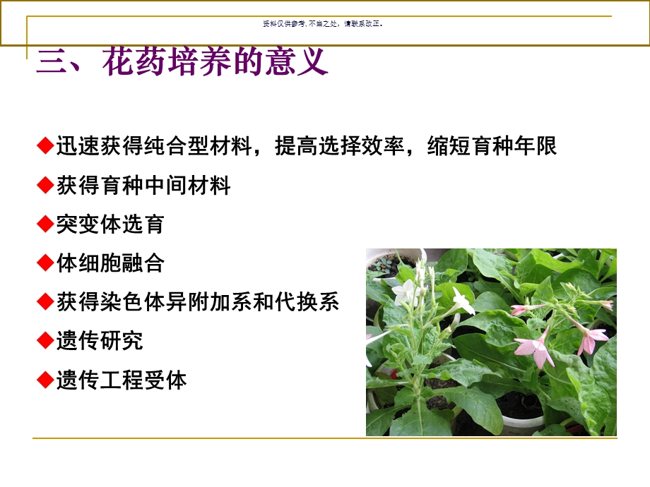 烟草花药培养课件.ppt_第3页