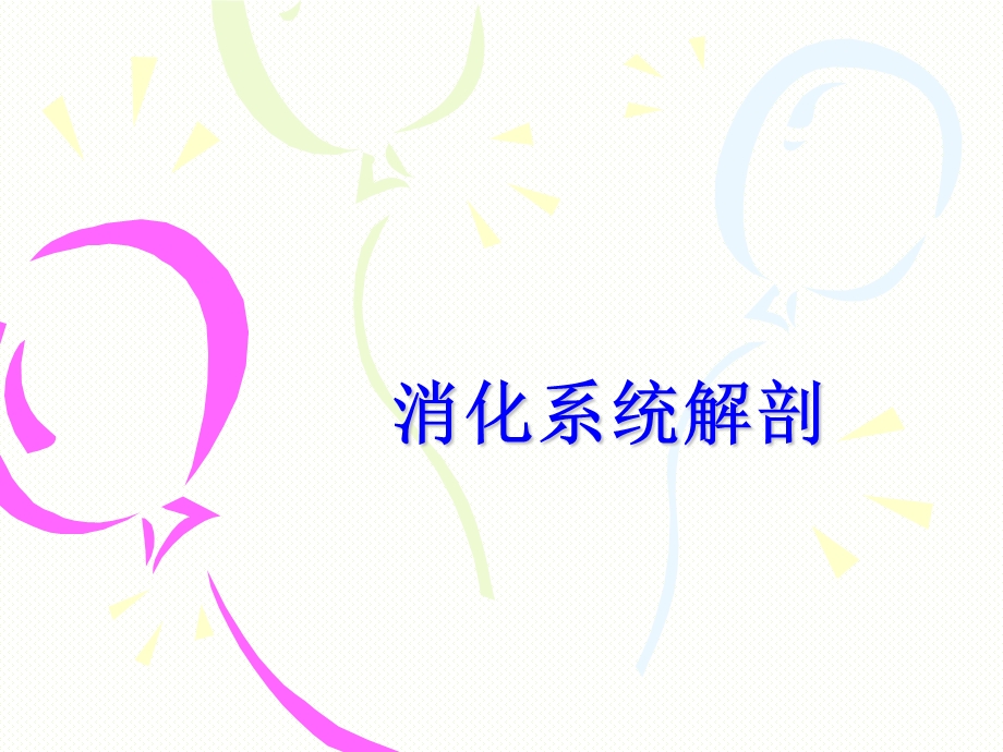 消化系统解剖课件.ppt_第1页