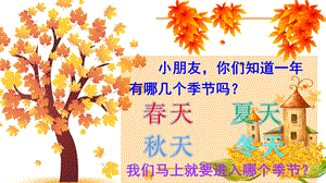 秋天 教学ppt课件.ppt