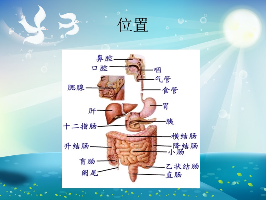 胃病专题ppt课件.ppt_第2页