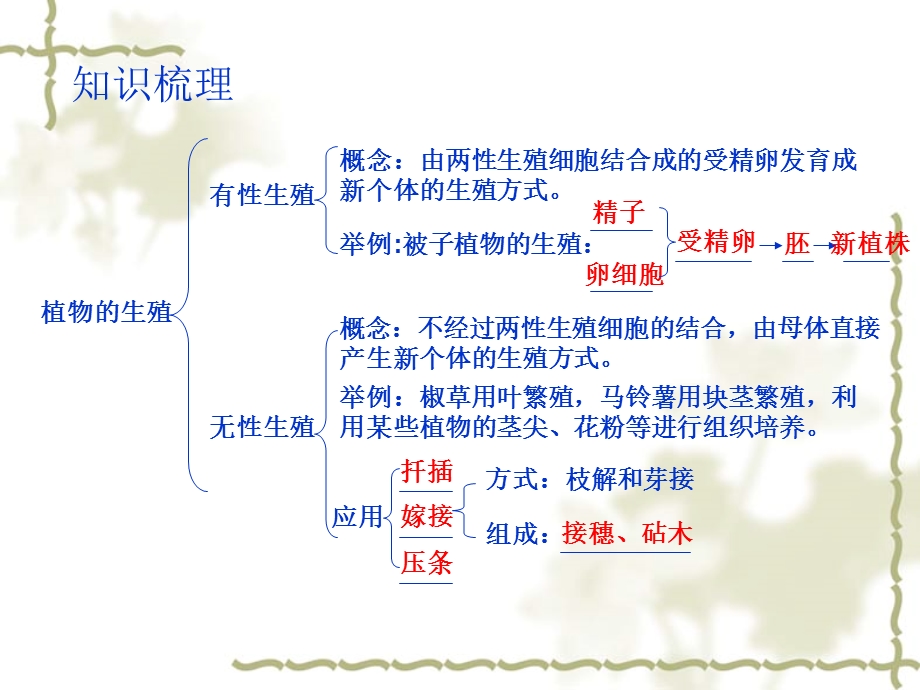 生物的生殖和发育复习ppt课件.ppt_第2页