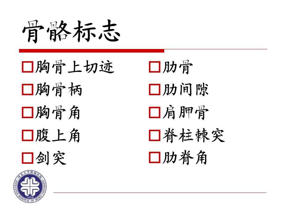 胸部的体表标志课件.ppt_第3页