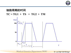 细胞生长分化和细胞周期课件.ppt